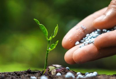 氯化鈀、醋酸鈀、DPPF二氯化鈀、DBA鈀、四三苯基膦鈀等均相催化劑的生產與銷售。